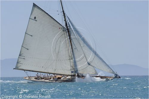 _G813541.jpg