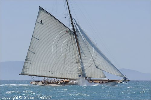 _G813543.jpg