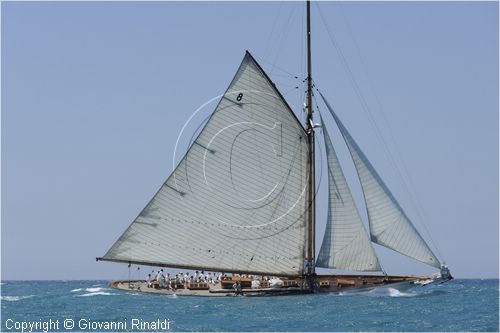 _G813547.jpg
