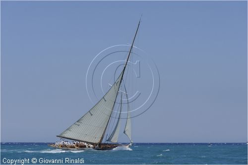 _G813553.jpg