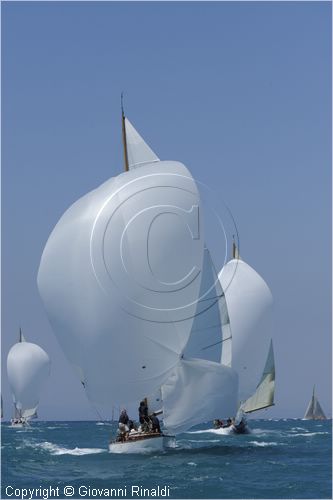 _G813569.jpg