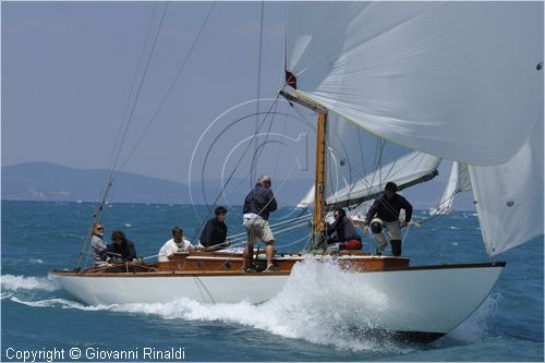 _G813575.jpg