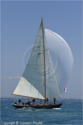 _G813610.jpg