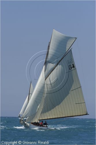 _G813626.jpg