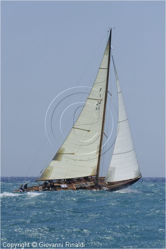 _G813704.jpg