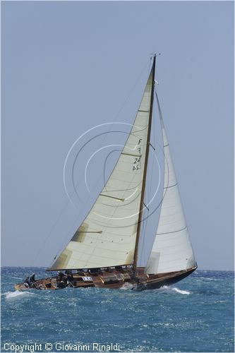 _G813705.jpg