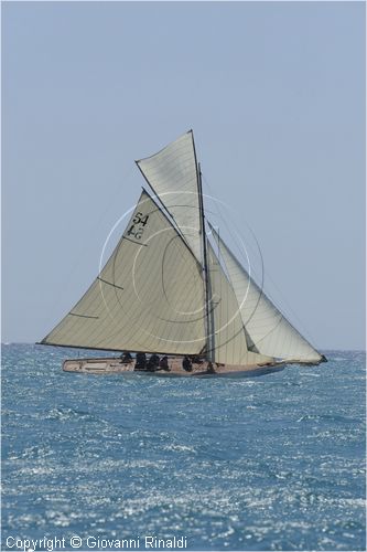 _G813712.jpg