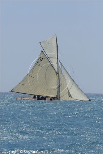 _G813714.jpg
