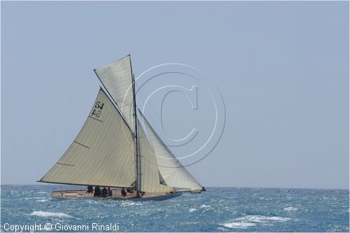 _G813715.jpg