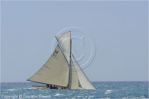 _G813718.jpg