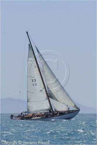 _G813726.jpg