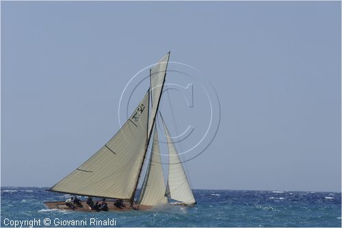 _G813732.jpg