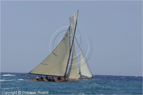 _G813735.jpg