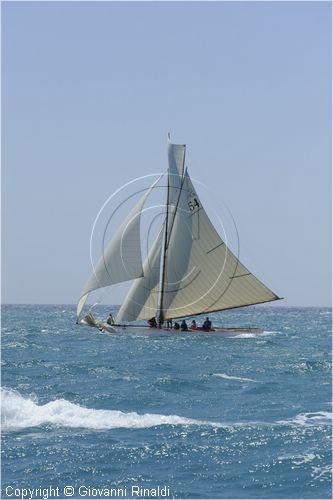 _G813766.jpg