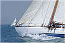 _G813463.jpg