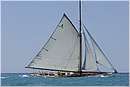 _G813547.jpg