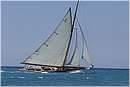 _G813548.jpg