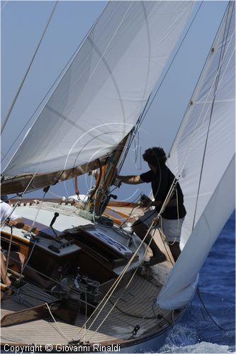 asw08_G814034.jpg