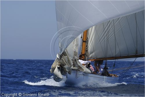 asw08_G814109.jpg