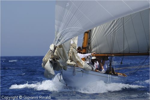 asw08_G814110.jpg