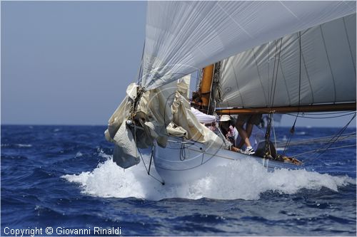 asw08_G814111.jpg