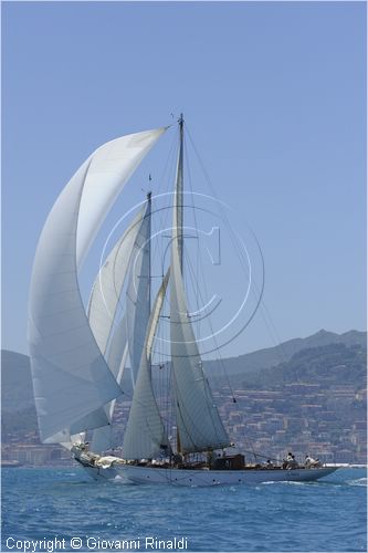 asw08_G814143.jpg
