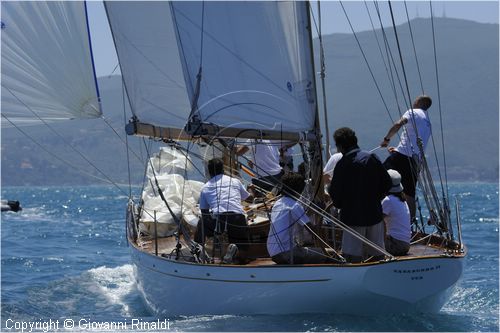 asw08_G814226.jpg