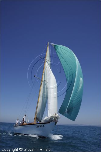 asw08_G814265.jpg