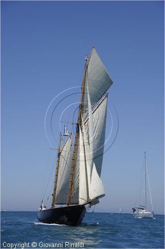 asw08_G814271.jpg