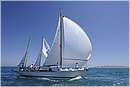 asw08_G813979.jpg