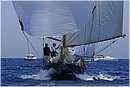 asw08_G814063.jpg