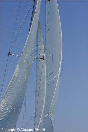 asw08_G814625.jpg