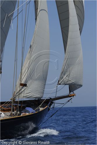 asw08_G814645.jpg