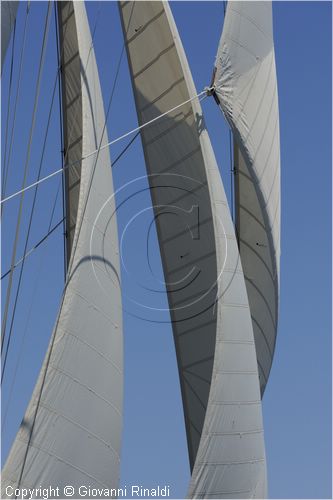 asw08_G814649.jpg