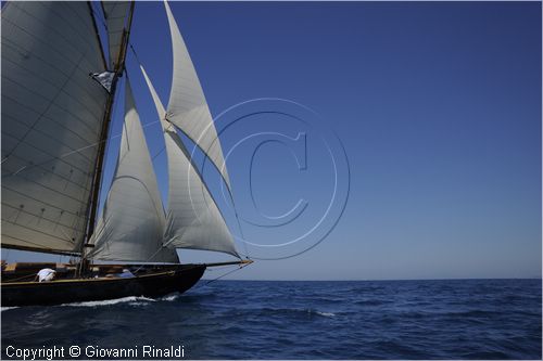 asw08_G814682.jpg