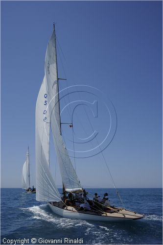asw08_G814771.jpg