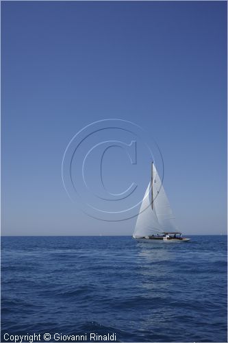 asw08_G814809.jpg