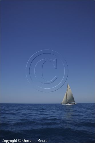 asw08_G814814.jpg