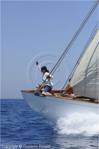 asw08_G814961.jpg