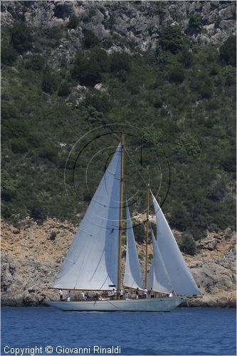 asw08_G815039.jpg