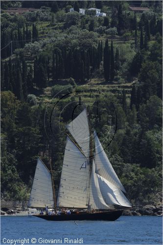 asw08_G815048.jpg
