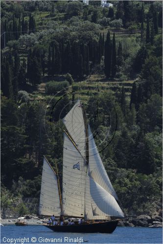 asw08_G815050.jpg