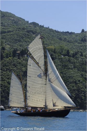 asw08_G815060.jpg