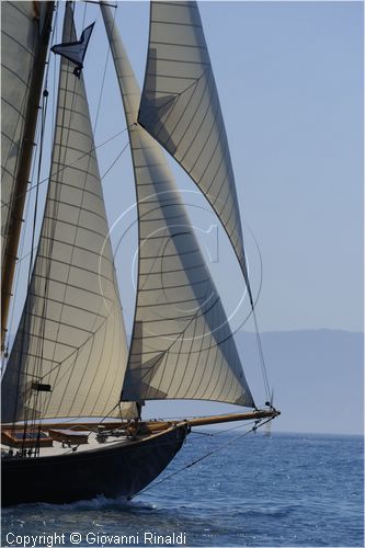 asw08_G815070.jpg