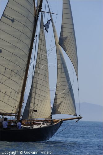 asw08_G815074.jpg