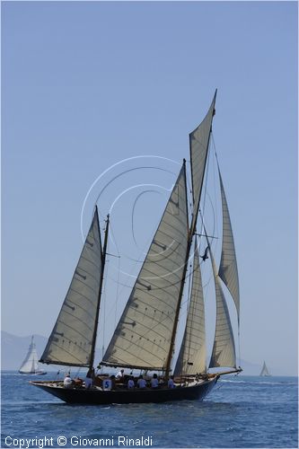asw08_G815075.jpg