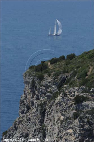 asw08_G815099.jpg