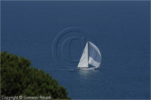asw08_G815107.jpg