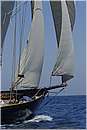 asw08_G814645.jpg