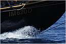 asw08_G814655.jpg